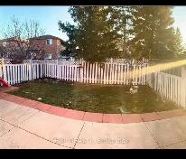 Private/Shared Room for rent in Brampton Only Males - Photo 6