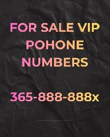 Phone Numbers. Easy to remember.Rare 416,647,905,437 Area code