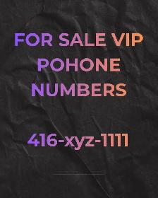 Lucky, Phone Numbers 416,647ending 7777,8888,0000,1111,5555