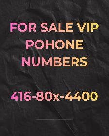 Upgrade your business phone Number to a more unique one!416,647