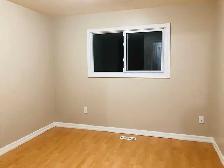 1 BEDROOM AVAILABLE FOR RENT HUMBER COLLEGE AND FINCH - Photo 4
