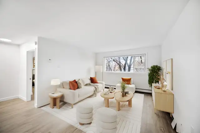 NEWLY Renovated 1 Bed 1 Bath apartment in Elmwood!