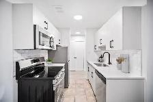 NEWLY Renovated 1 Bed 1 Bath apartment in Elmwood! - Photo 3