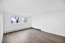 NEWLY Renovated 1 Bed 1 Bath apartment in Elmwood! - Photo 5