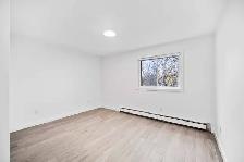 NEWLY Renovated 1 Bed 1 Bath apartment in Elmwood! - Photo 8