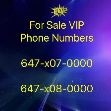 Unlock Your Business Potential with 416/647/905 Numbers