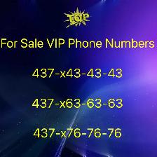 Your Perfect Connection Awaits: 416/647/905 Numbers for Sale!