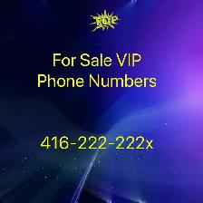 Connect Better: 416/647/905/437/226/289 Numbers Available Now!