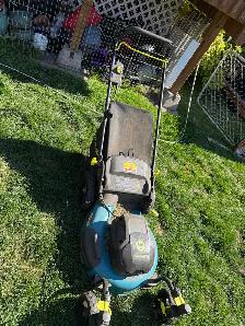lawnmower - Photo 3