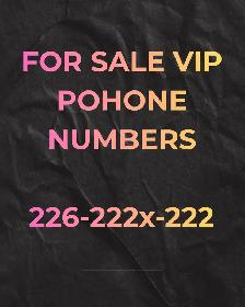 Transform Your Communication with 416/647/905 phone Numbers!