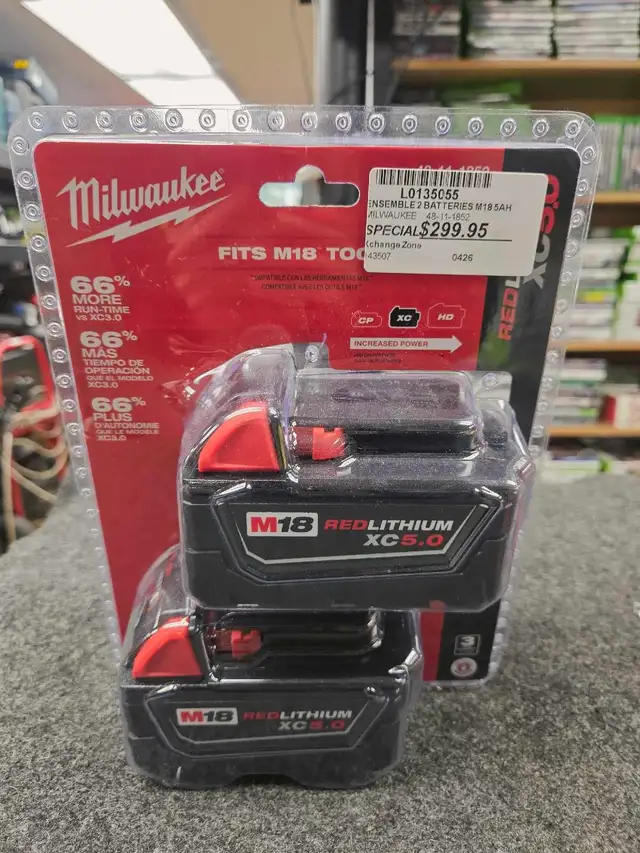 Ensemble de 2 batterie M18 5AH