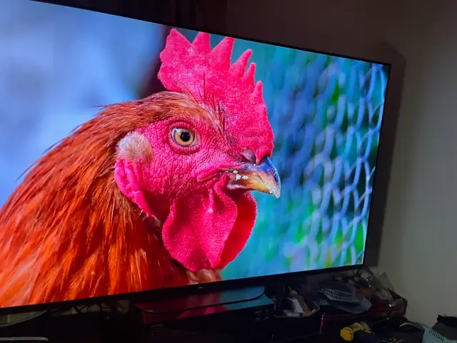 LG 4K smrt tv 55 inches like new ( warranty available)