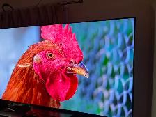 LG 4K smrt tv 55 inches like new ( warranty available) - Photo 4
