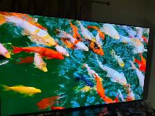 LG 4K smrt tv 55 inches like new ( warranty available) - Photo 5