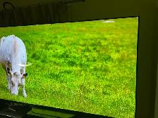 LG 4K smrt tv 55 inches like new ( warranty available) - Photo 7