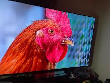 LG 4K smrt tv 55 inches like new ( warranty available) - Photo 8