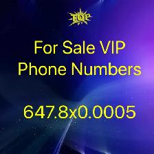 Make Your Mark with a Distinctive 416/647/905 Phone Number