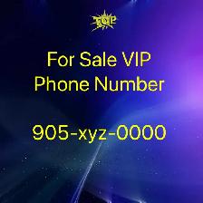 Your Gateway to Success: Premium 416/647/905/437 phone Numbers