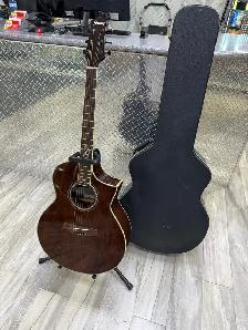 Ibanez EW20WNE NT 202 Electric Acoustic With Fisherman