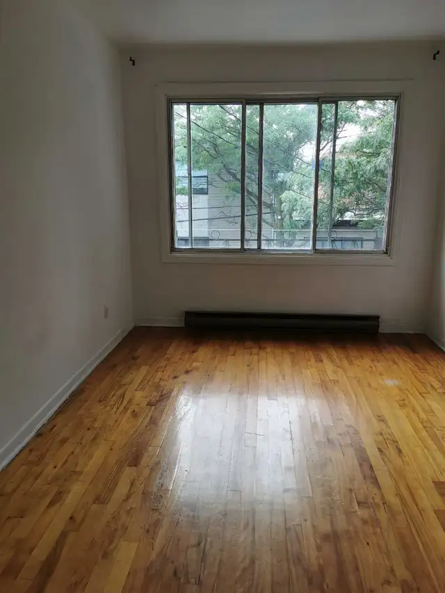 logement à louer