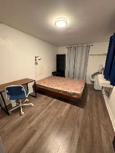 Rental Back Unit Bathrust and Dundas Downtown Toronto
