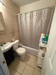 Rental Back Unit Bathrust and Dundas Downtown Toronto - Photo 3