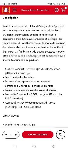 ventilateur de plafond - Photo 3