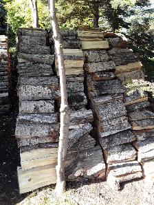 LAC DU BONNET POPLAR Firewood Lady - Photo 2