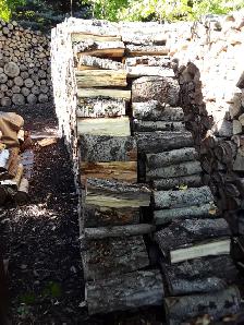 LAC DU BONNET POPLAR Firewood Lady - Photo 3