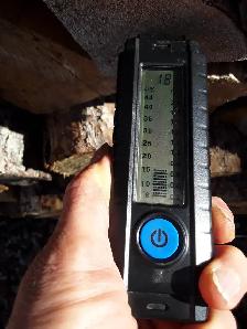 LAC DU BONNET Spruce Firewood Lady - Photo 2