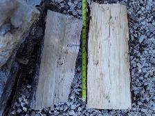 LAC DU BONNET Spruce Firewood Lady - Photo 3