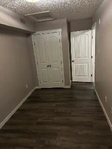 VACANT 2 BR  Condo $ 1395 Rapid Bus Serv Cl to Schools &LRT - Photo 2