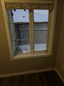 VACANT 2 BR  Condo $ 1395 Rapid Bus Serv Cl to Schools &LRT - Photo 3