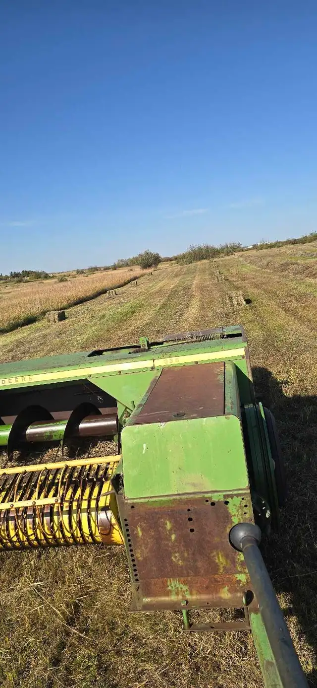 grass small square bales
