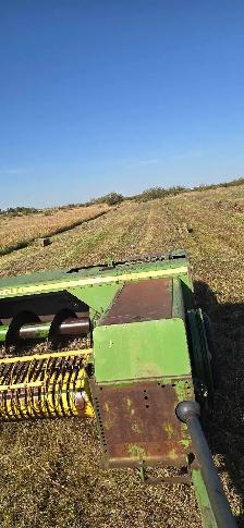 grass small square bales