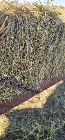 grass small square bales - Photo 2