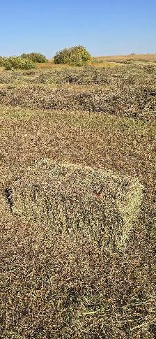 grass small square bales - Photo 5