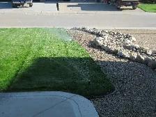 Sprinkler Blow Outs