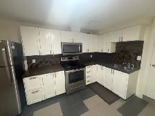 11337-93 St Basement Suite - Photo 2