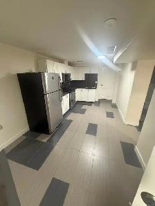 11337-93 St Basement Suite - Photo 3
