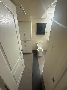 11337-93 St Basement Suite - Photo 5