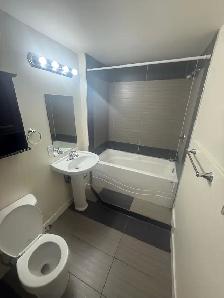 11337-93 St Basement Suite - Photo 8