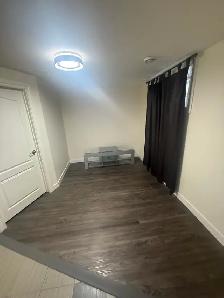 11337-93 St Basement Suite - Photo 10