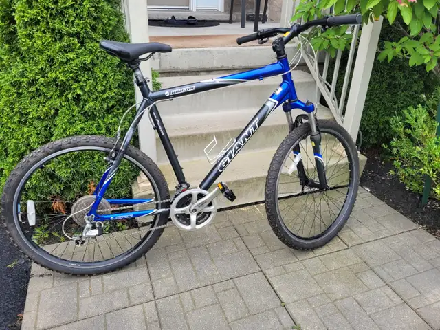 Giant Rincon Mountain Bike (XXL)