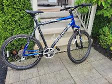 Giant Rincon Mountain Bike (XXL)