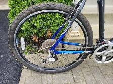Giant Rincon Mountain Bike (XXL) - Photo 3