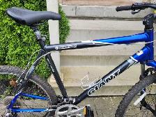 Giant Rincon Mountain Bike (XXL) - Photo 4