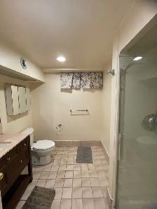 2 Bedroom Basement Apartments in Scarborough - Photo 9