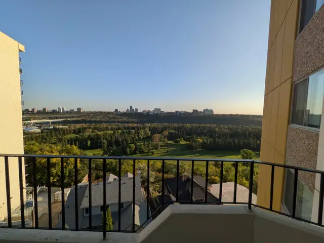 Downtown 1 Bed 1 Bath Apartment