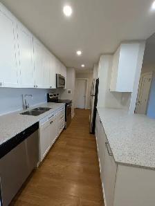Downtown 1 Bed 1 Bath Apartment - Photo 3